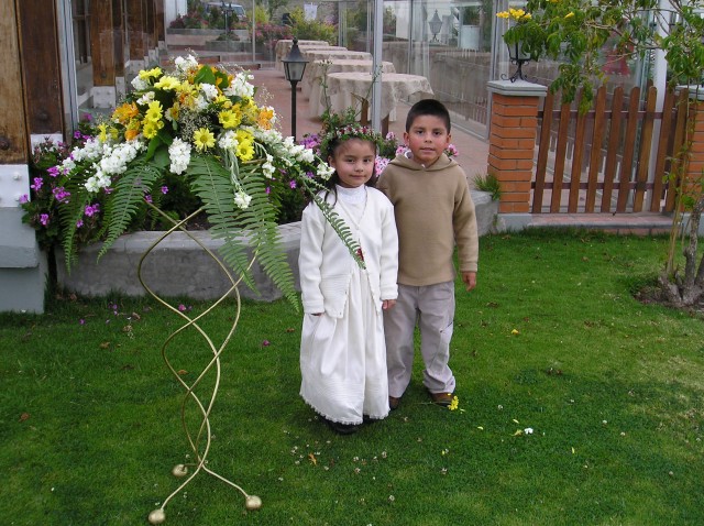 p1010335.jpg